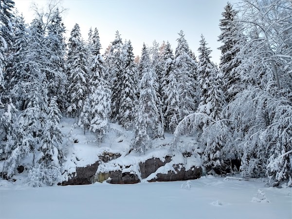Nuuksio National Park 2