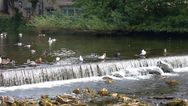 Matlock