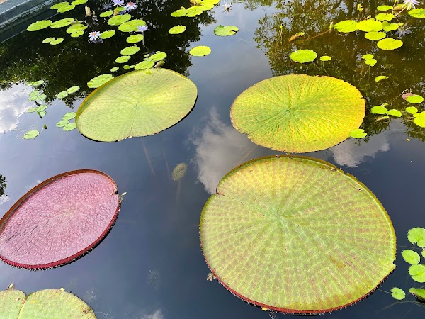 Queen Sirikit Park 4