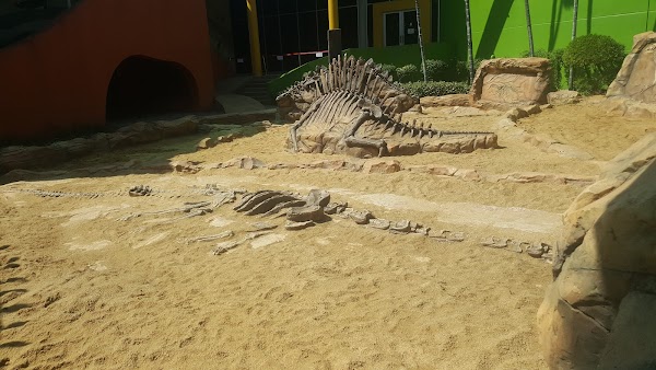 Children’s Discovery Museum 2