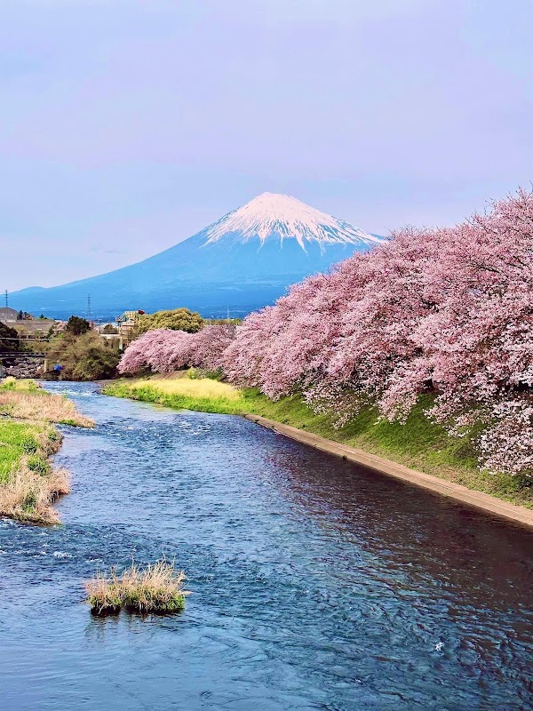 Ryuganbuchi