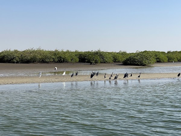 Saloum Delta