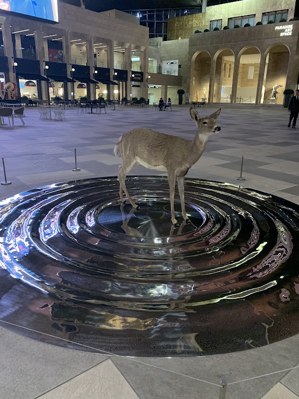 아트 파라디소 호텔 1