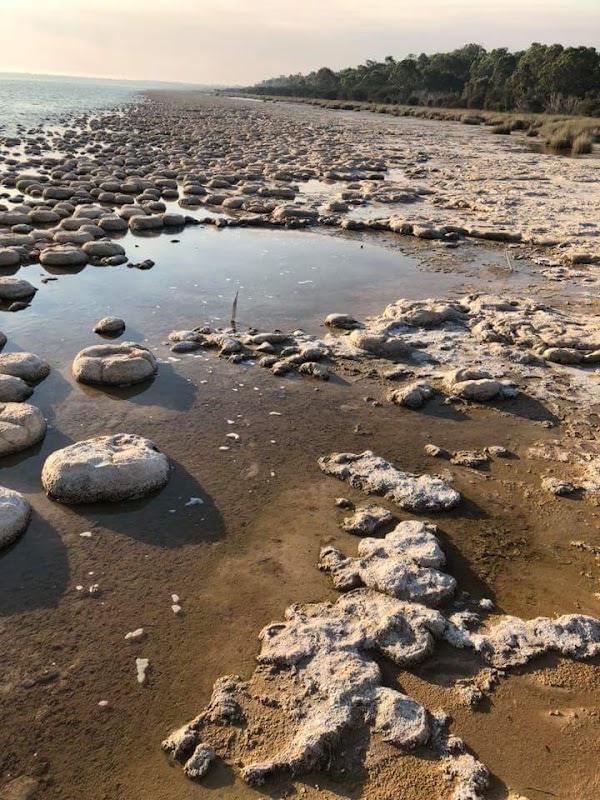 Lake Clifton 1