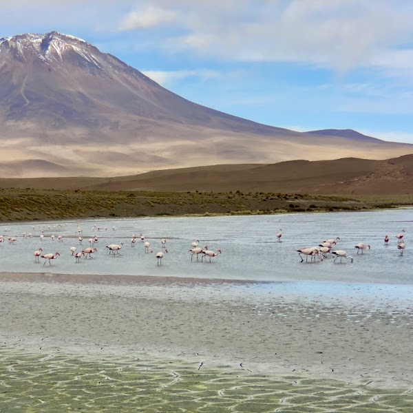 Laguna Charcota 1