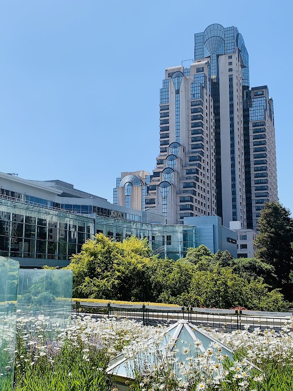 Yerba Buena Center for the Arts 2