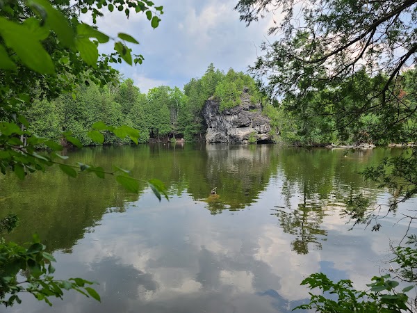 Harris Woollen Mill Ruins 2