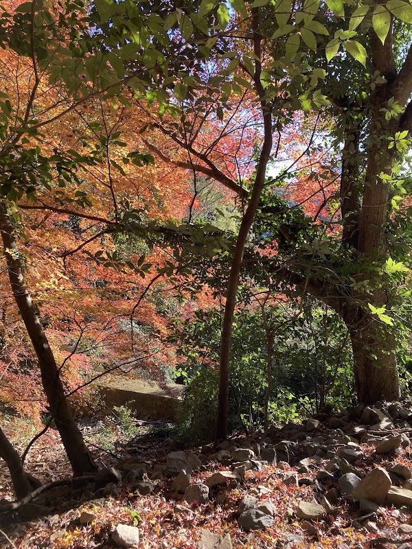 Iwatodaimyojin 2