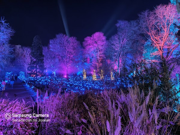 Real Jardín Botánico 6