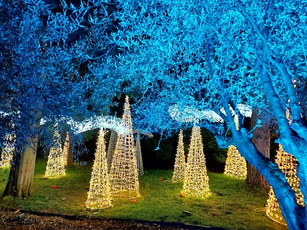 Real Jardín Botánico 4