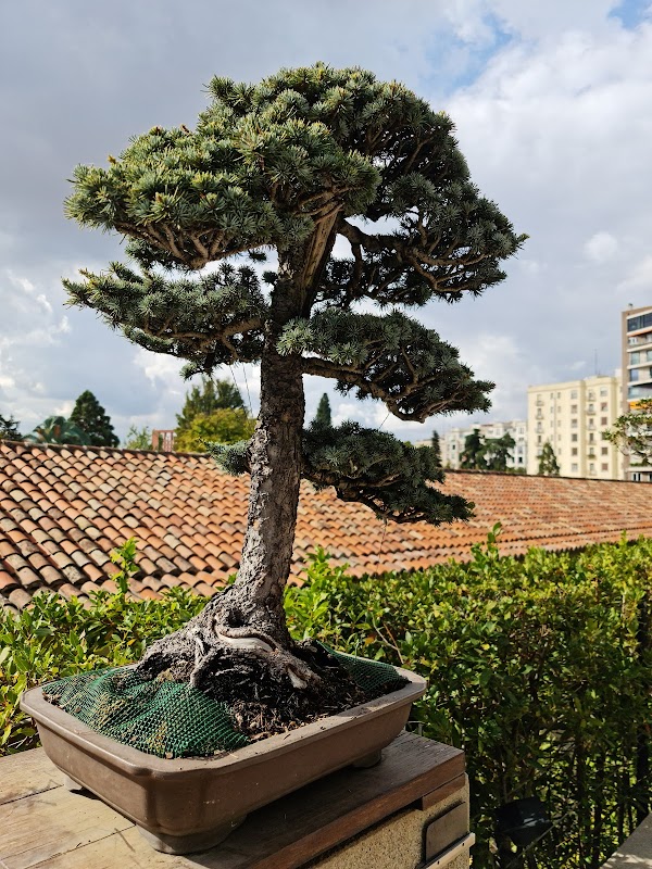 Real Jardín Botánico 3