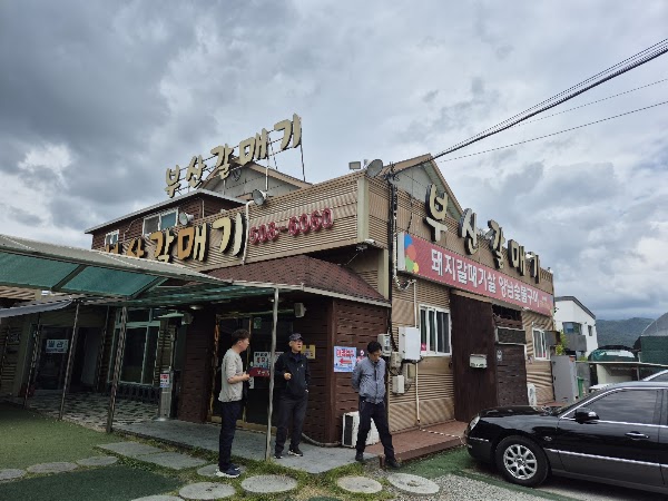 부산갈매기