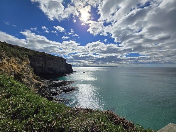 Royal Albatross Centre 4