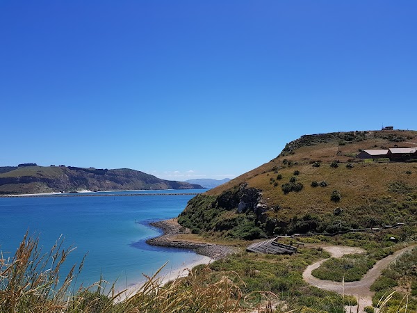 Royal Albatross Centre 3