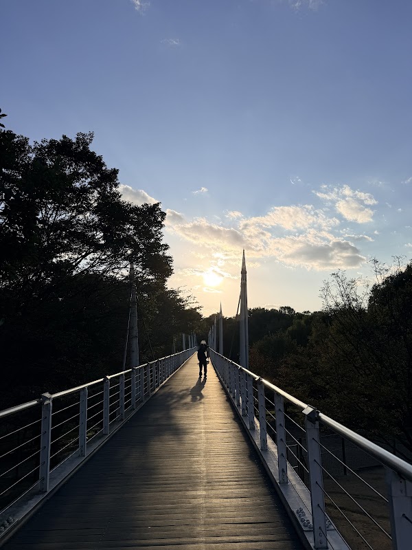 Seoul Forest - Deer Corral 5