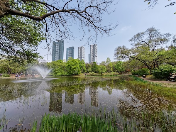 Seoul Forest - Deer Corral 3