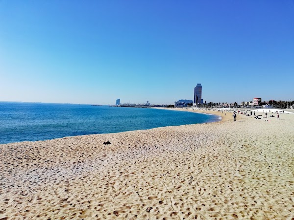 Platja del Bogatell