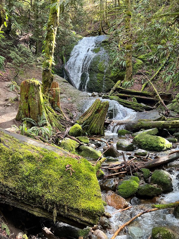 Coal Creek Falls