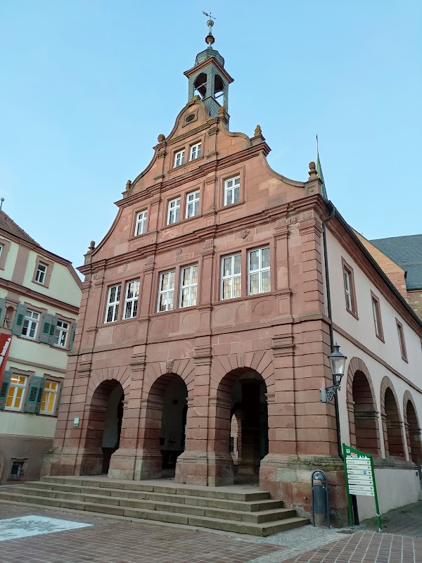 Buchen