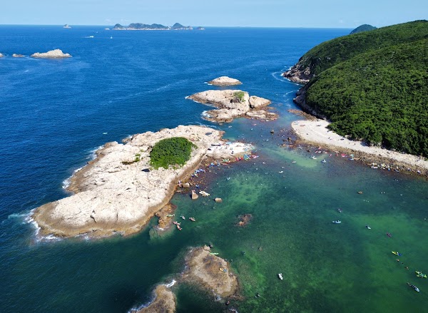 Green Egg Island 1