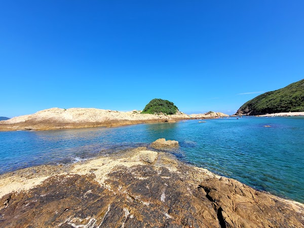 Green Egg Island 5