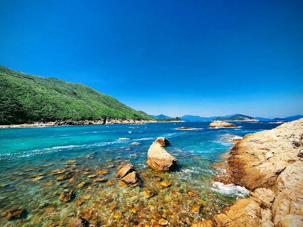 Green Egg Island 4