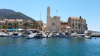 Vis