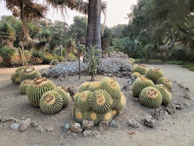 Arizona Garden 1
