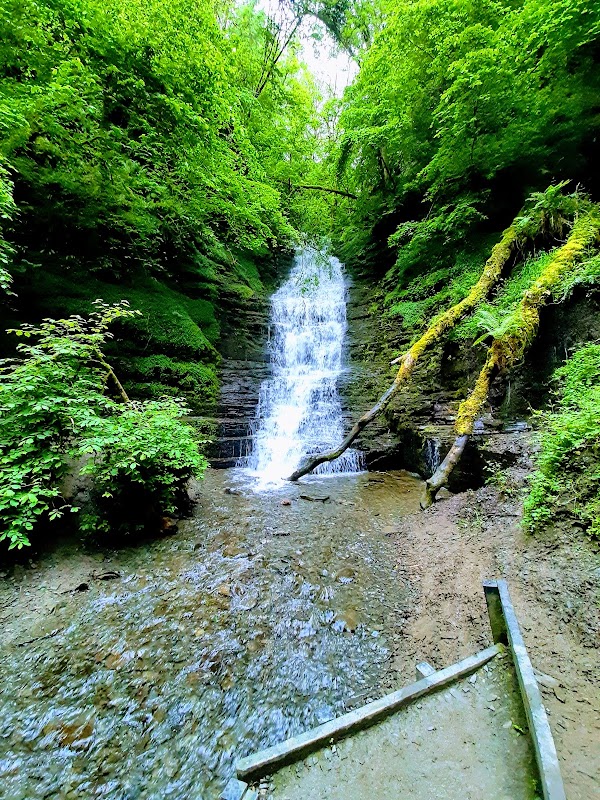 Wales 23