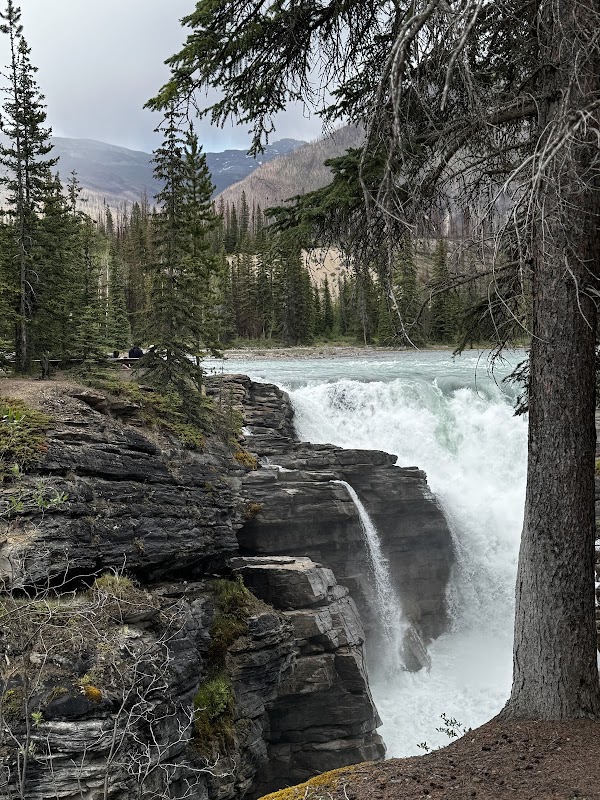 Athabasca River