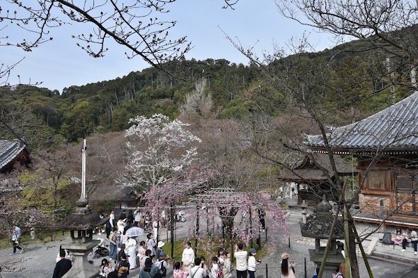 Kiyomizu-dera Niomon Gate 5