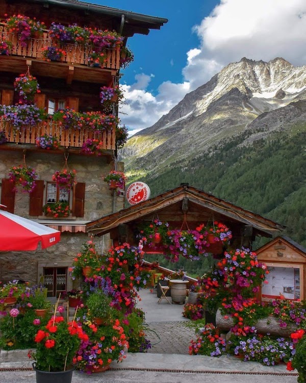Arolla 5