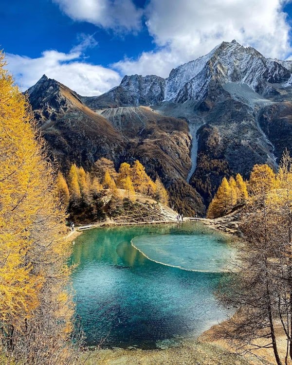 Arolla 4