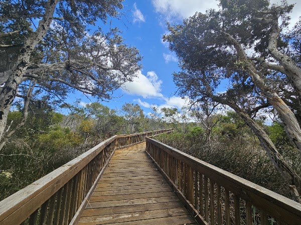Lake Monjingup Nature Reserve Carpark