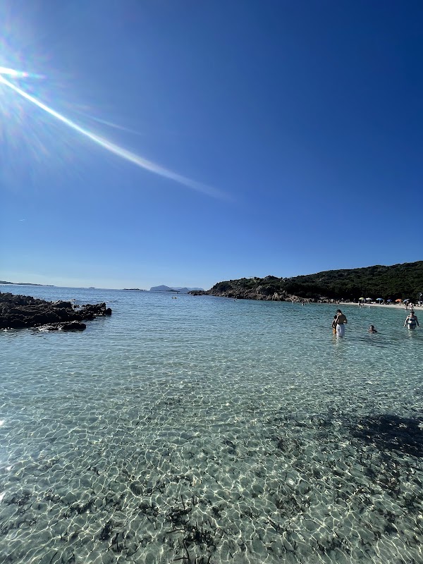 Spiaggia Poltu Di Li Cogghj 5