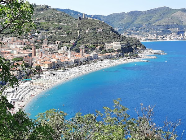 Noli