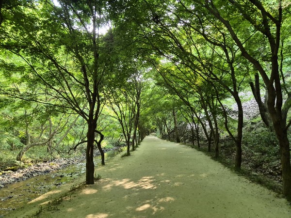 Gangcheonsan