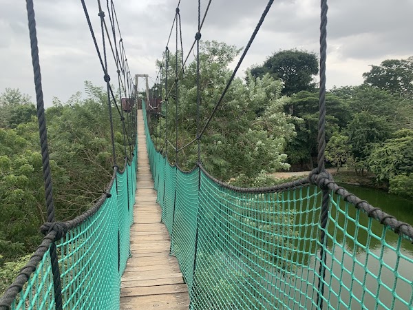 Legon Botanical Gardens Ghana.. 5
