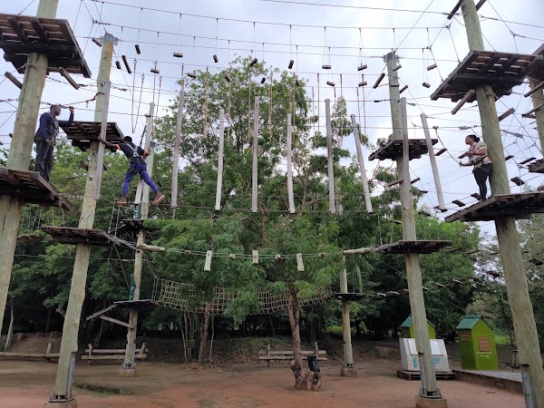 Legon Botanical Gardens Ghana.. 4