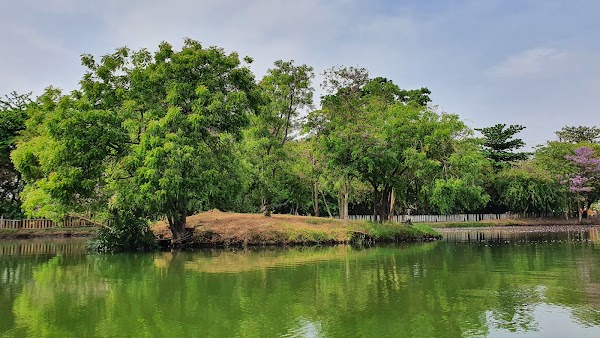 Legon Botanical Gardens Ghana.. 2