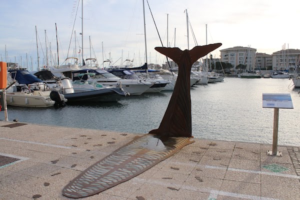 Captaincy Port Fréjus 3