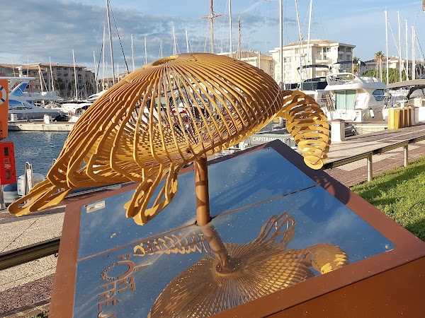 Captaincy Port Fréjus 2