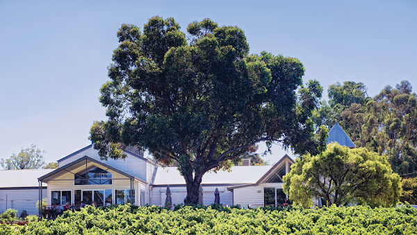 Hay Shed Hill Wines