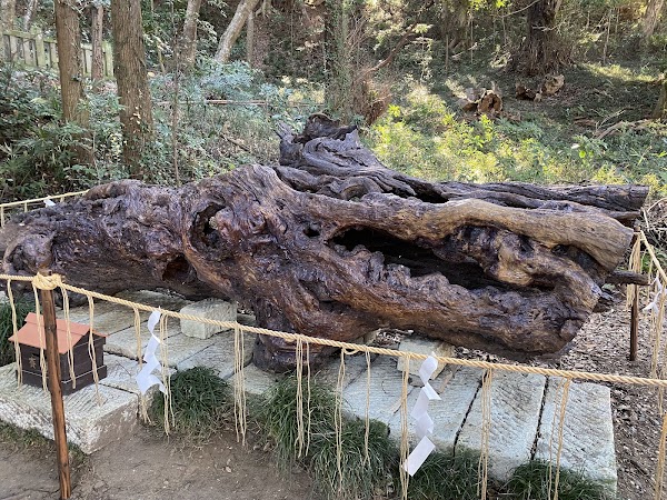 Izumi Shrine 3