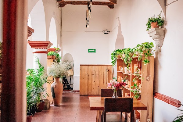 Levadura de Olla Restaurante