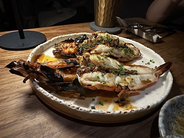 IL TORO WOODFIRE GRILL 3
