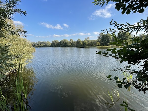 UEA Broad