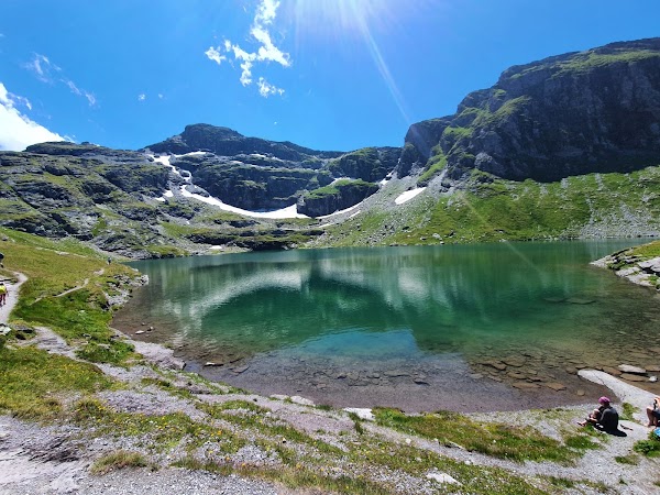 Wildsee 4
