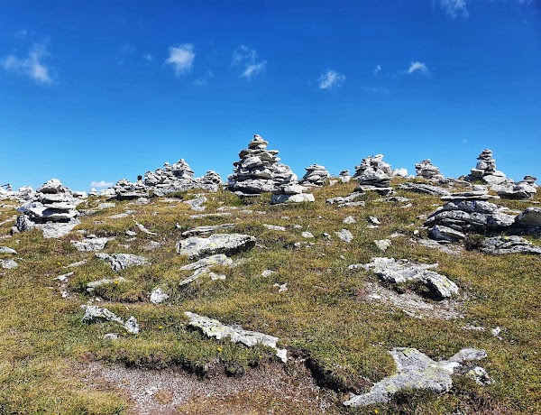 Wildsee 3