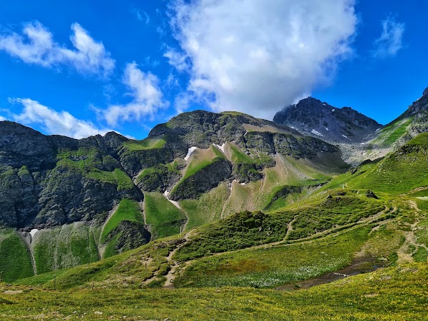 Wildsee 2
